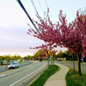 Meet your Posher, Sung